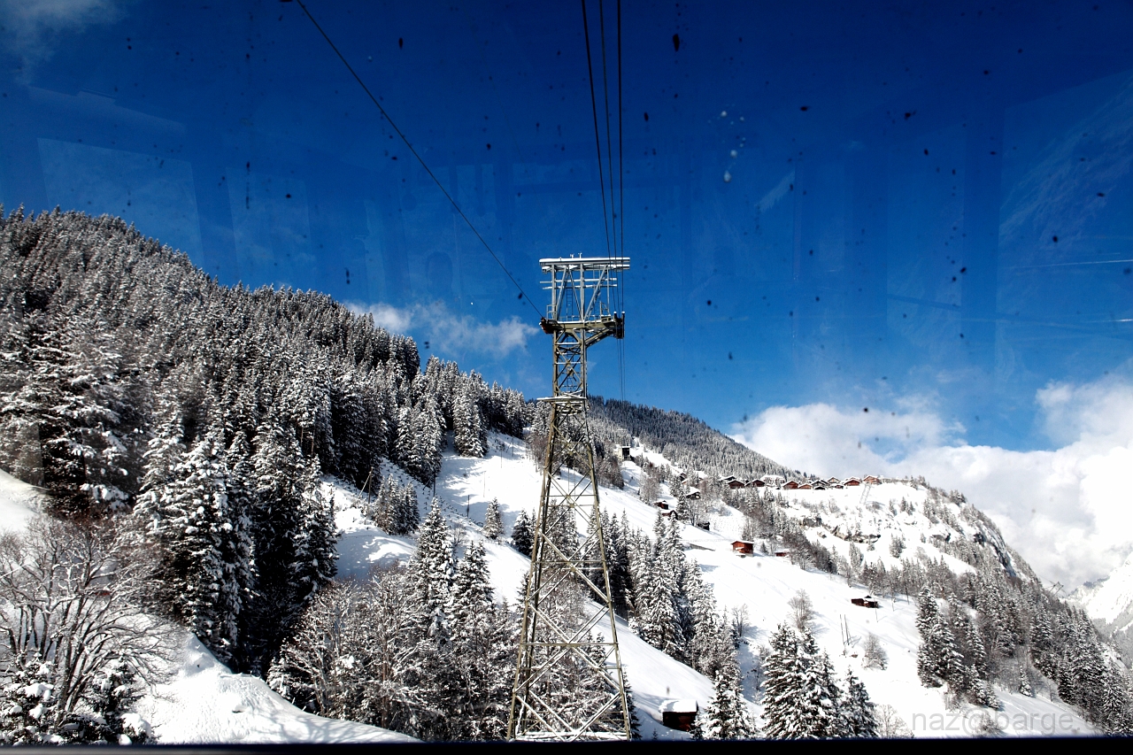 EOS 5D Mark II09_02_20133648.JPG